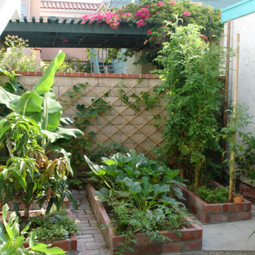 Xeriscape Garden, Jungle Forest Garden, Vegetable Garden & Subtropical Garden