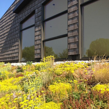 Green Roofs