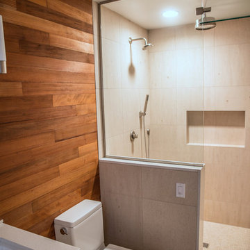 Del Cerro whole house remodel
