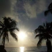 Donna Bermas's photo