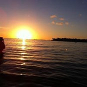 Sylvie Koch's photo