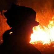 Kati Foreman Molchan's photo