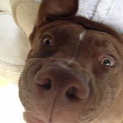 Jill Mollenhauer's photo