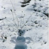 Gale Foode's photo