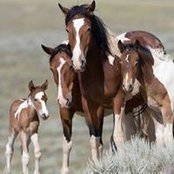 Denise Scrip's photo
