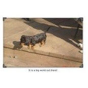 Sandy Lewis's photo