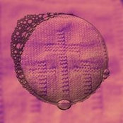 Tracy Korolchuk's photo