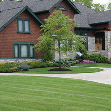 Garden ideas