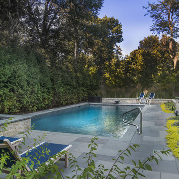 Patio with Pool, Spa & Pergola