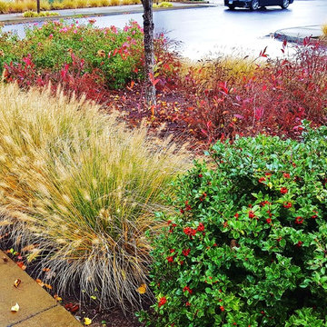 Salmon Creek Estate Design Build Landscape BEFORE PHOTOS