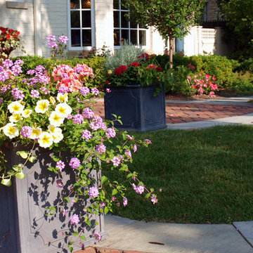 Seasonal Flowers at Entrance