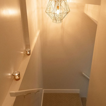 Basement Renovation