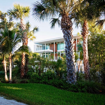 Sanibel Modern Tropic