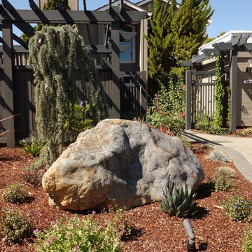 In A Clients Own Words: What This Garden Means to Anne