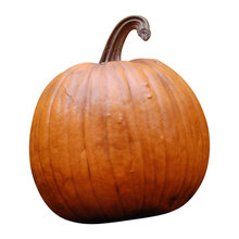 fall decor