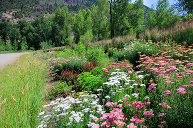 This is an example of a hillside flower bed in Denver for spring.