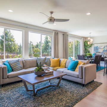 Arizona Window and Doors by Anlin Window and Doors