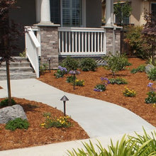 front yard