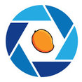 Ten Mangoes Photography's profile photo