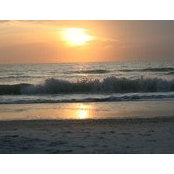 Cathy Loiselle's photo