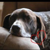 Brandy Palinsky's photo