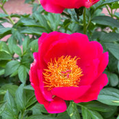 Monica Hemming's photo
