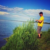Ray Koren's photo