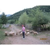 Neri Tani's photo