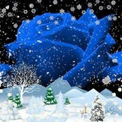 Tammi Russell's photo