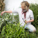 Rachel Goozee Garden & Planting design
