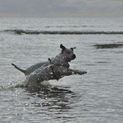 Paul Fowler's photo