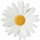 webuser_111737