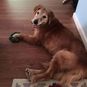 Kaitlin Simko's photo
