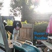 Lucy Uptain's photo