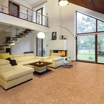 Cork Flooring in a living room