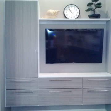 Entertainment Unit