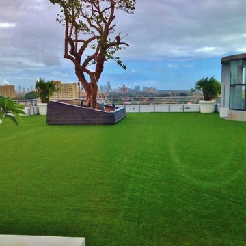 Roof Top Installations