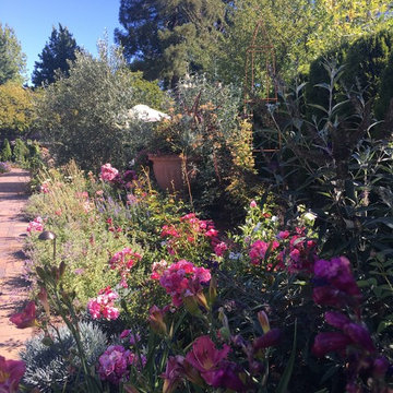 San Anselmo contemporary English Garden