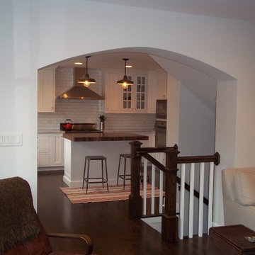 Evanston Kitchen & Family Room Renovation & Addition