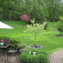 Backyard - hot tub/fire pit theme