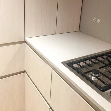 PROGRESS | Kitchen Install - Field Review
