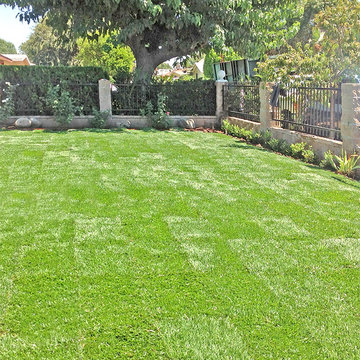 Sod Installation & Plant Borders