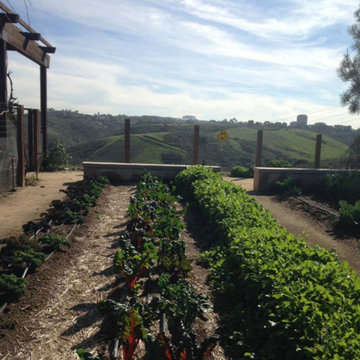 Urban Farms