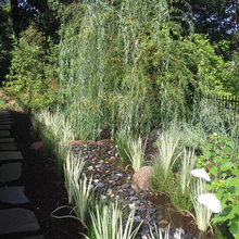 rain garden