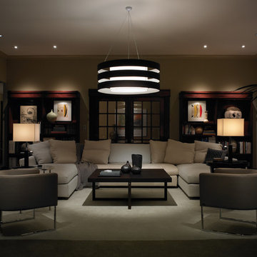 Lutron Lighting and Window treatment Ideas