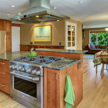 Ballard Kitchen Remodel