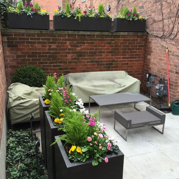 Chicago - Spring annuals 2016