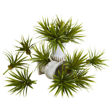 Mini Spiky Agave Succulent Plant, Set of 12, Green