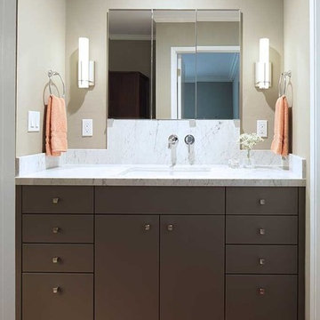 Contemporary Watergate Condo Remodel