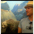 CM Creative Industries's profile photo